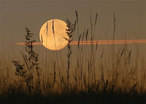 Embracing the energy of the harvest moon